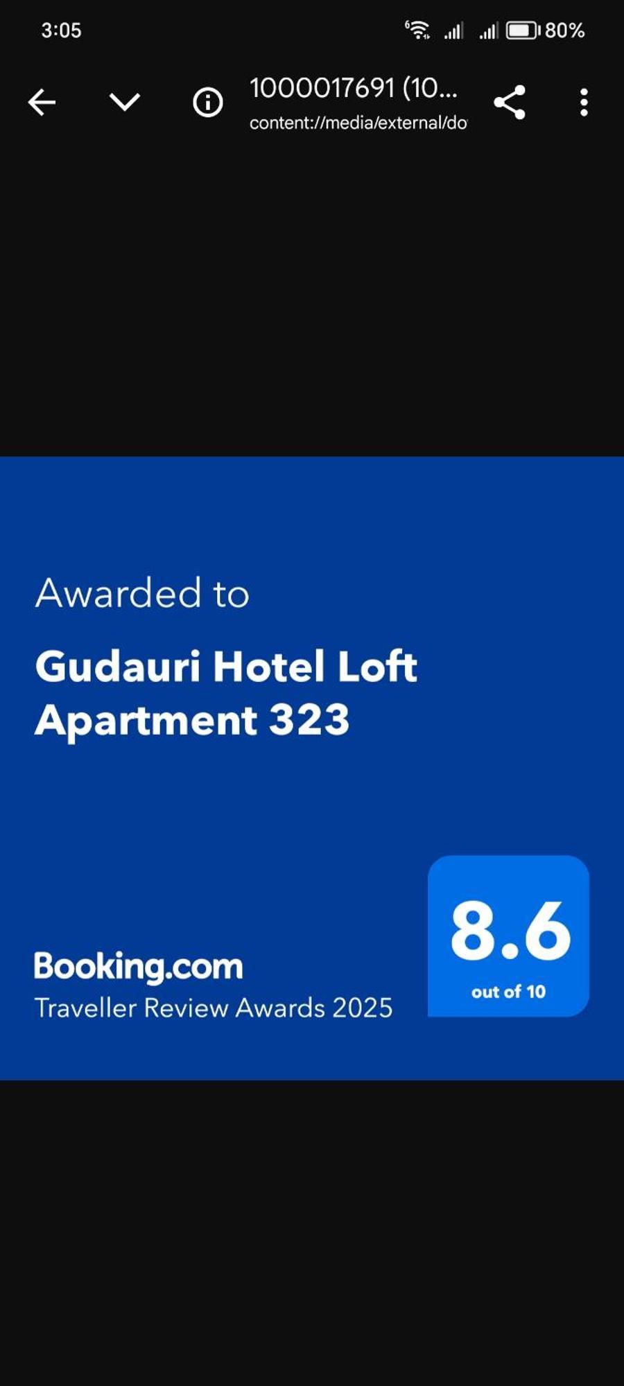 Gudauri Hotel Loft Apartment 323 客房 照片